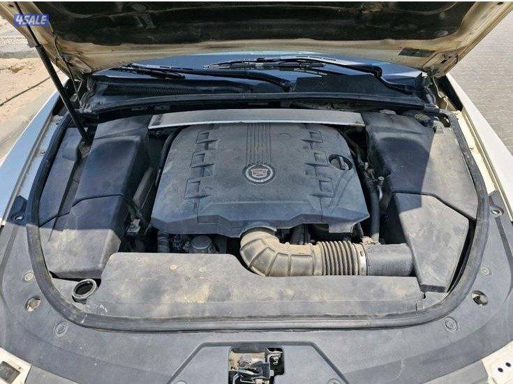 حولي شارع تونس13