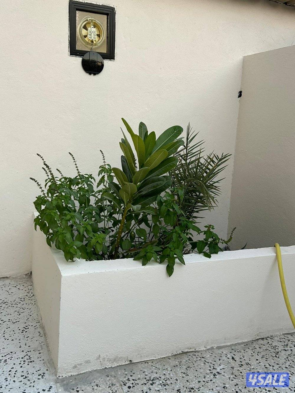 للإيجار بيت حكومة في كيفان0