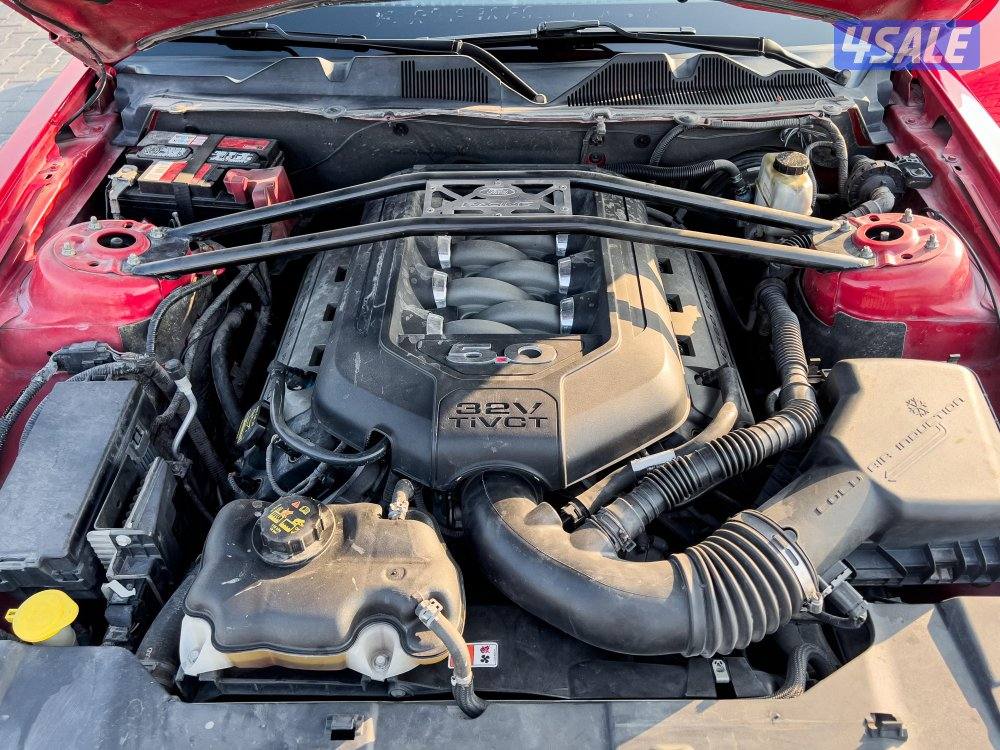 موستنق كاليفورنيا سبشل ٢٠١٣7