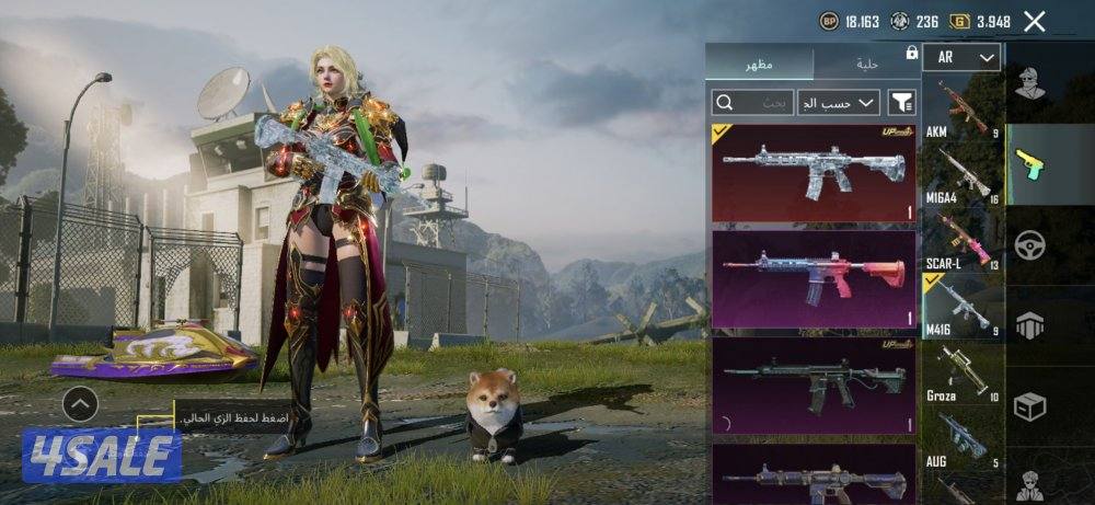 حساب ببجي للبيع مستوي 83ولفل المجموعات 65 حساب من الاخر5