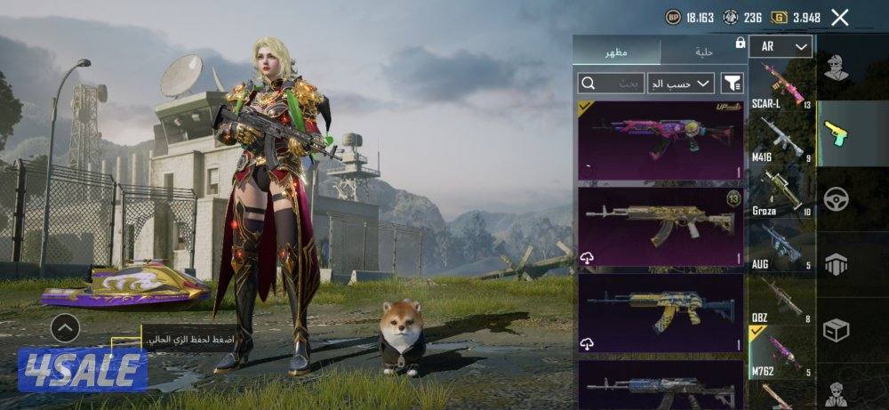 حساب ببجي للبيع مستوي 83ولفل المجموعات 65 حساب من الاخر6