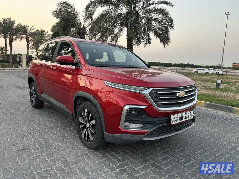 المعاينة العارضية الصناعية6