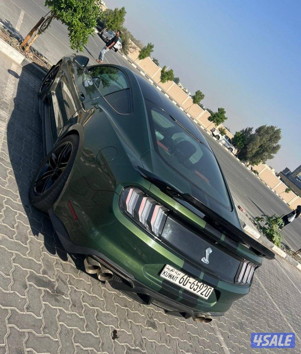 محافظه الجهراء3