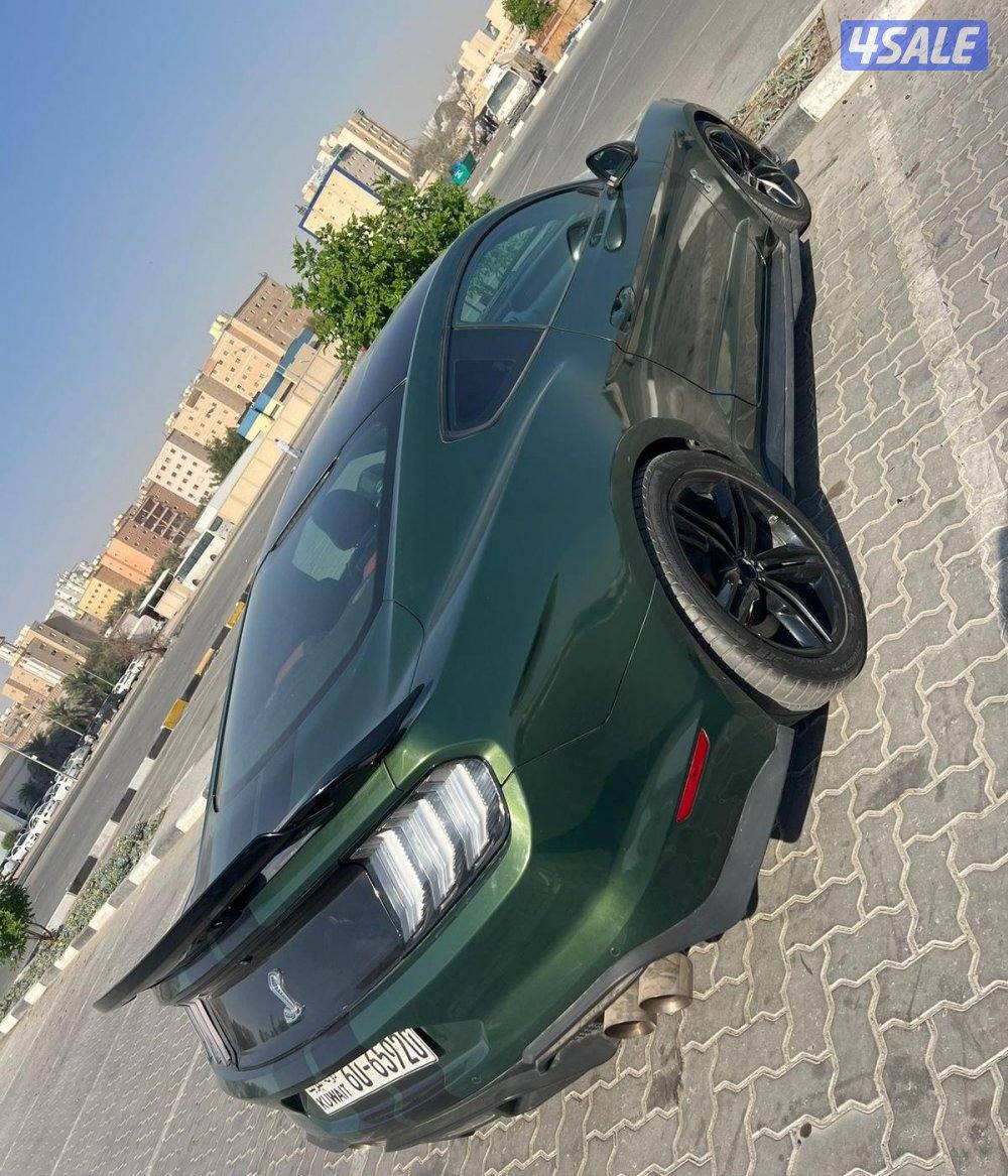 محافظه الجهراء4