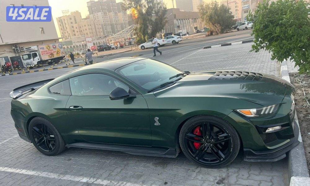 محافظه الجهراء5