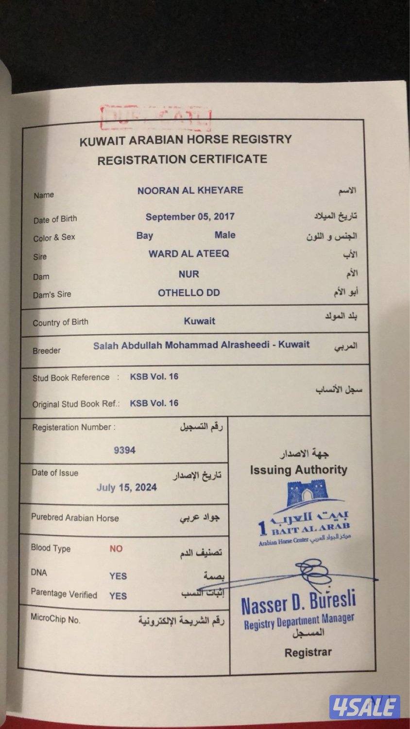 خيل مكس للبيع4