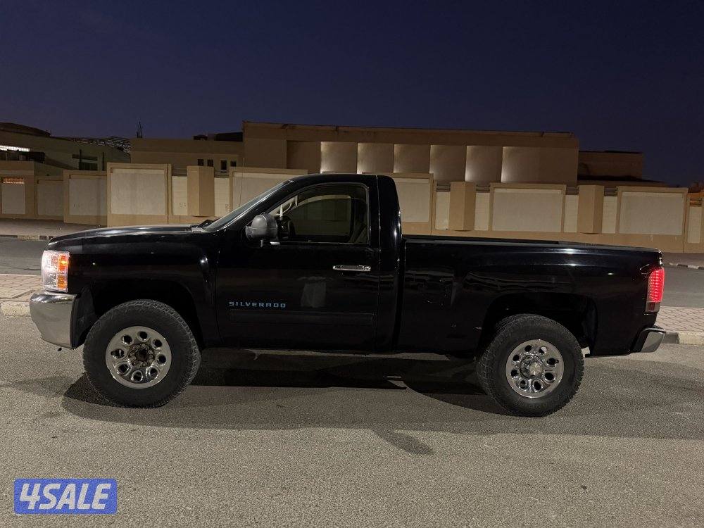 للبيع وانيت سلفرادوا1