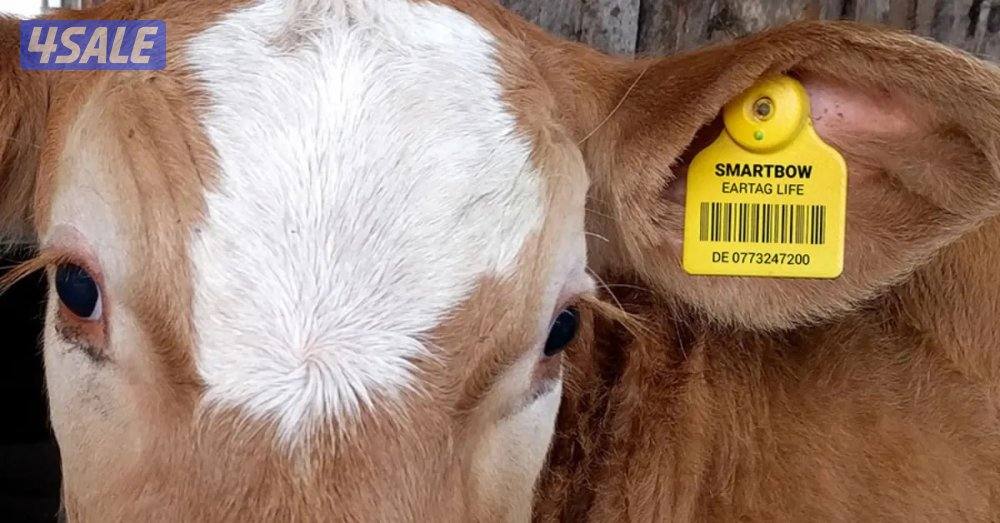 للبيع مكينة فايبر ليزر 50 واط (JPT Source) - مستعملة بحالة ممتازة3