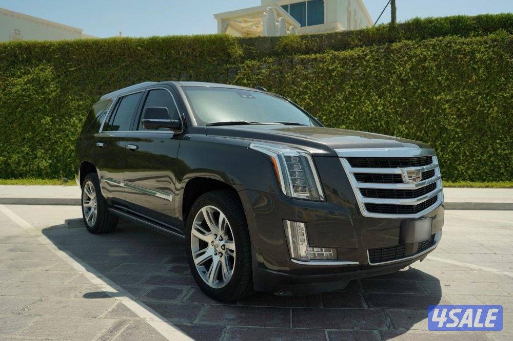 للبيع اسكاليد0