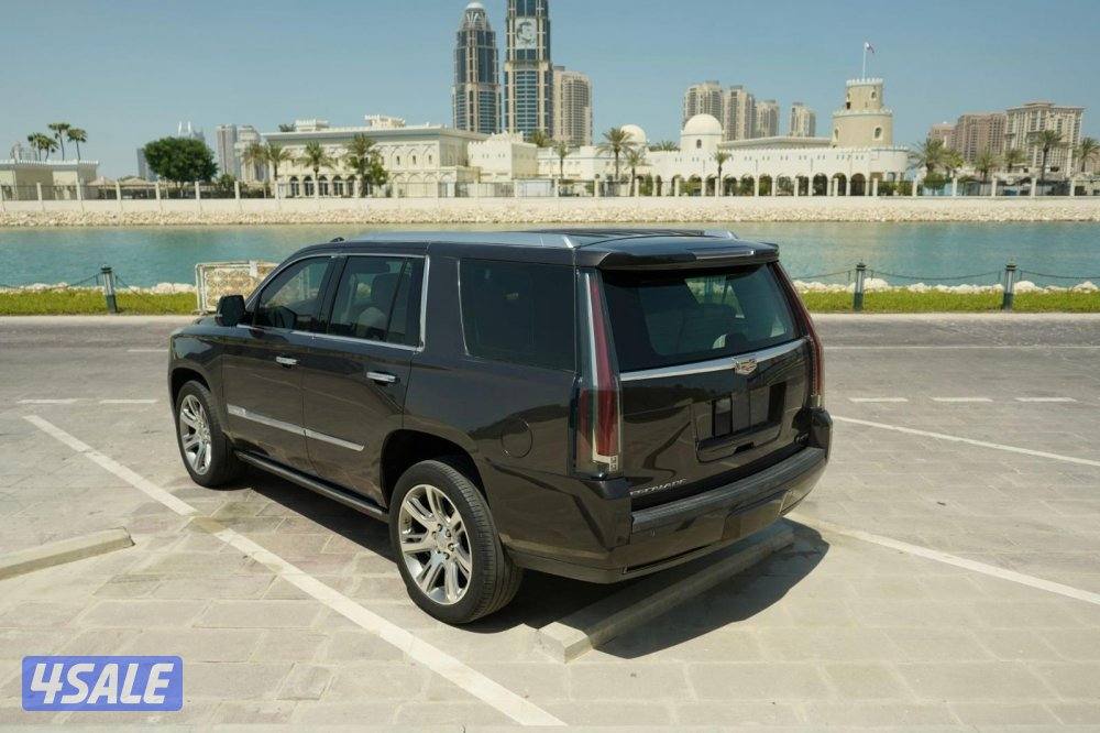 للبيع اسكاليد2