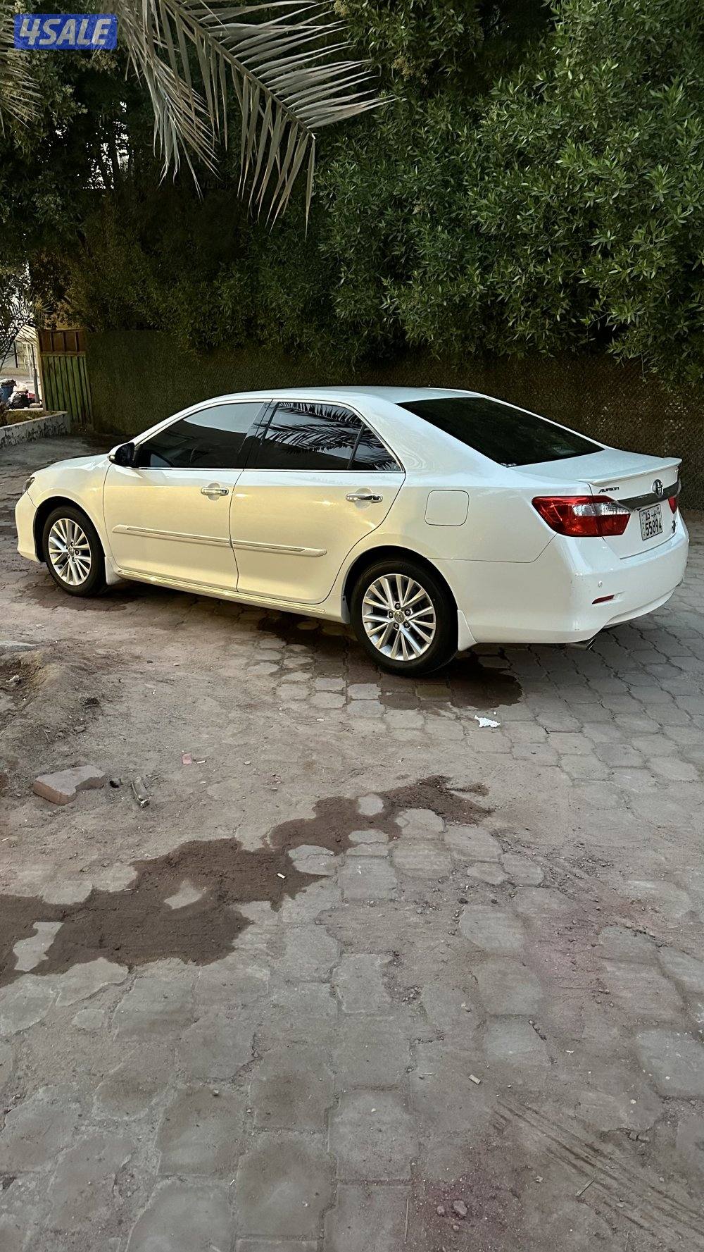 او يون 2017 عداد 217 صبغ قطعتين كف اليد1