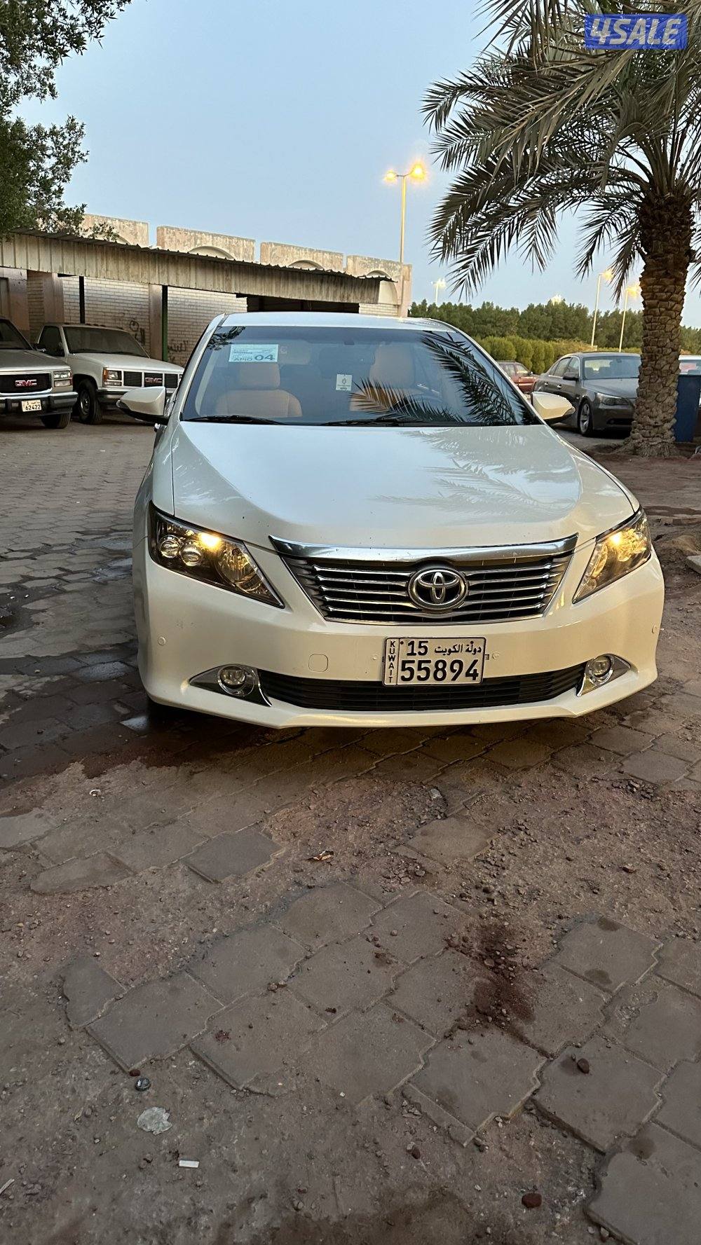 او يون 2017 عداد 217 صبغ قطعتين كف اليد5