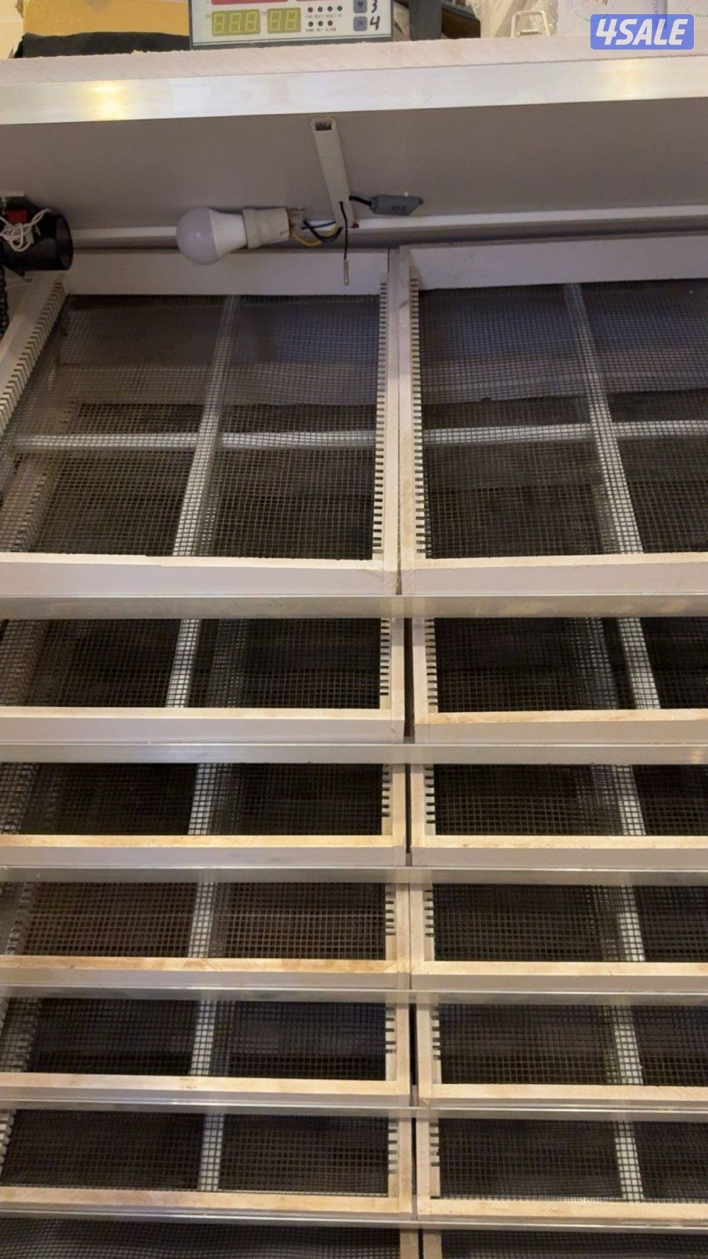 فقاسة ابو يوسف جديده 1300 بقراطيسها ونسبة تفقيسها 98 بالميه0