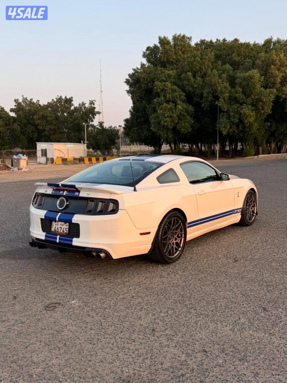 للبيع موستنق0