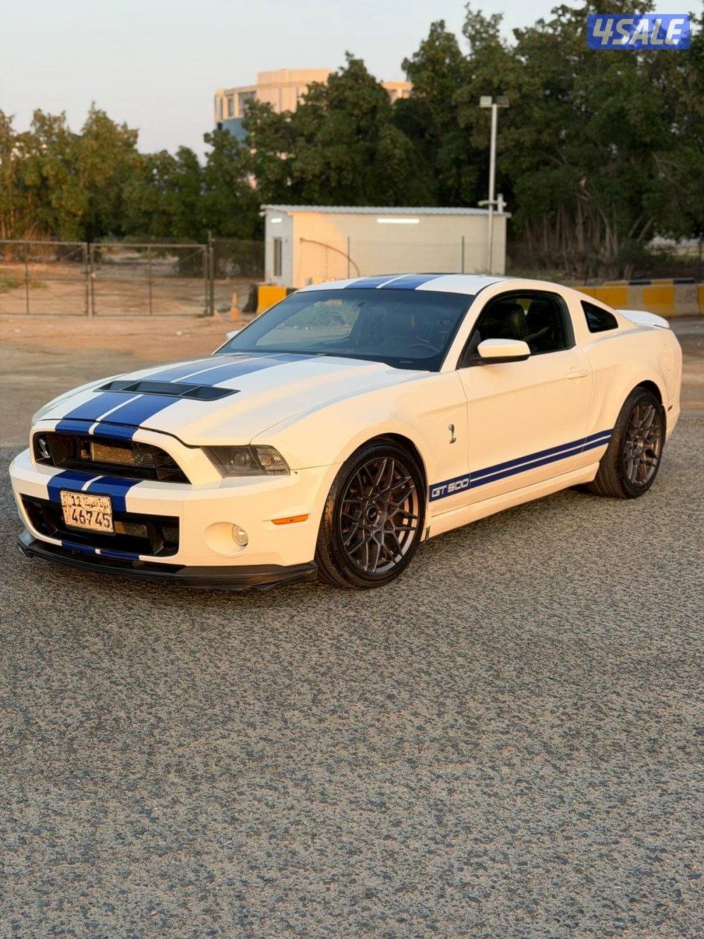 للبيع موستنق3