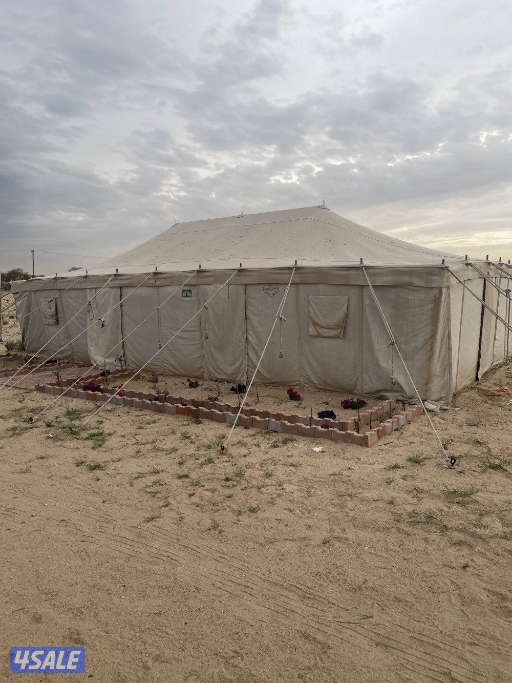 خيمة الصباح  5 * 100