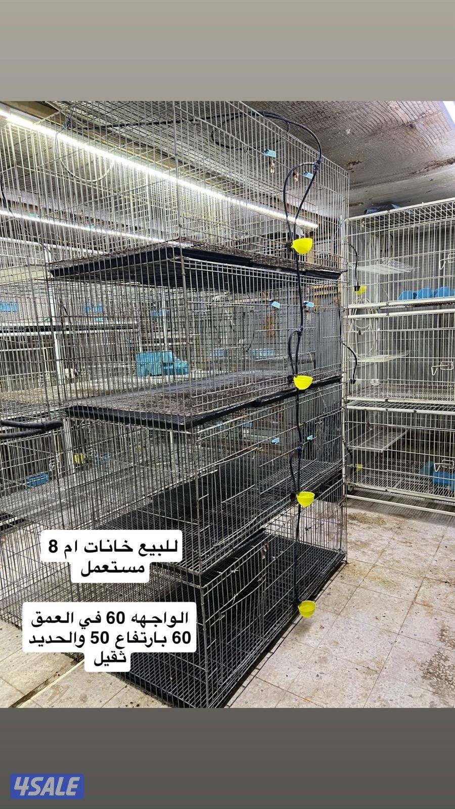 للبيع خانات ام 8 مستعمل0