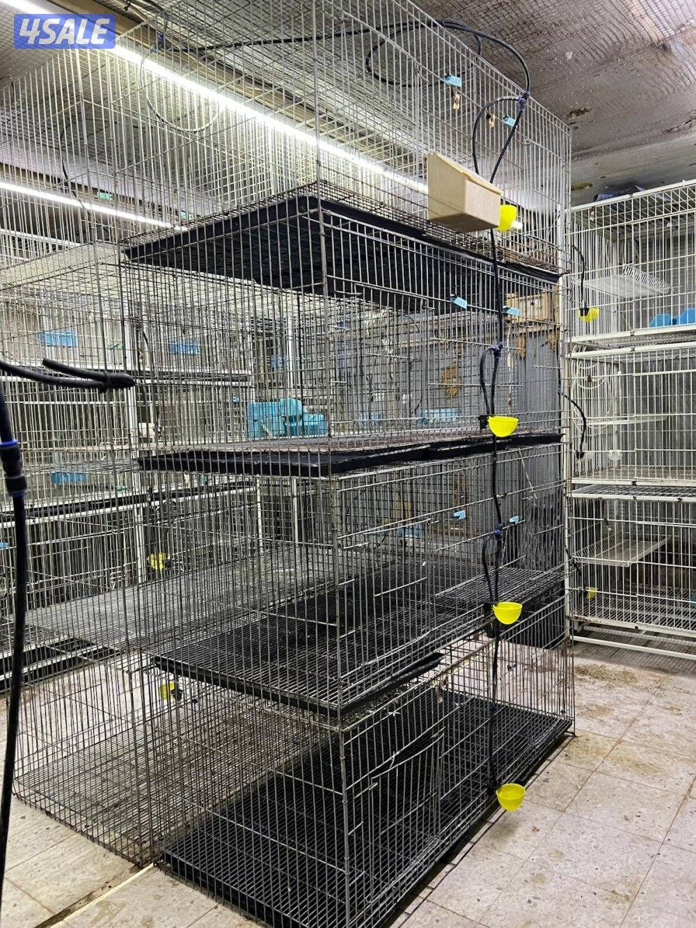 للبيع خانات ام 8 مستعمل1