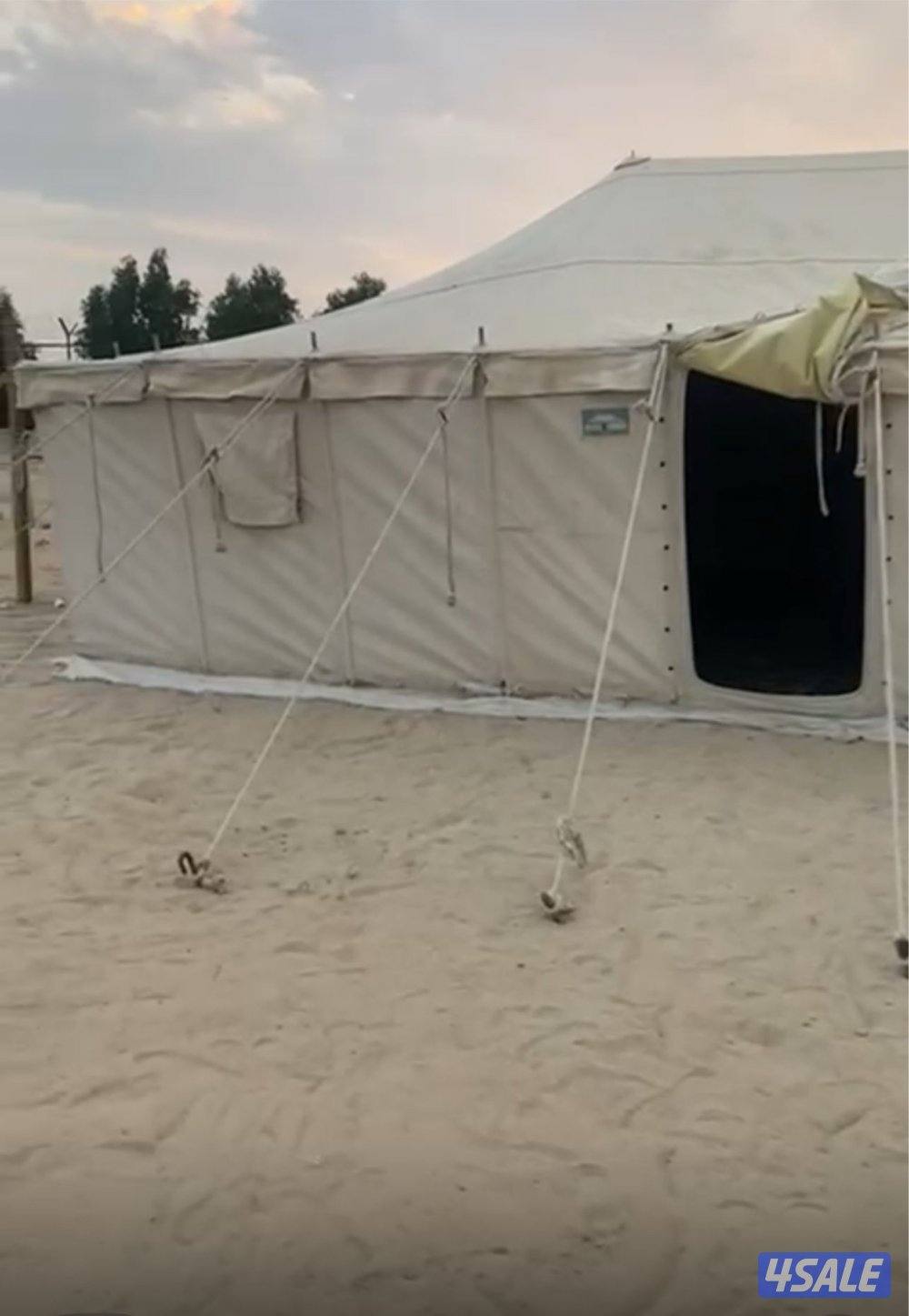 خيمة الصباح 5 في 80