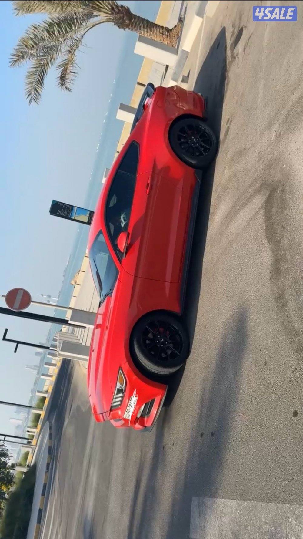 موستنق 2016 بيعه سريعه1