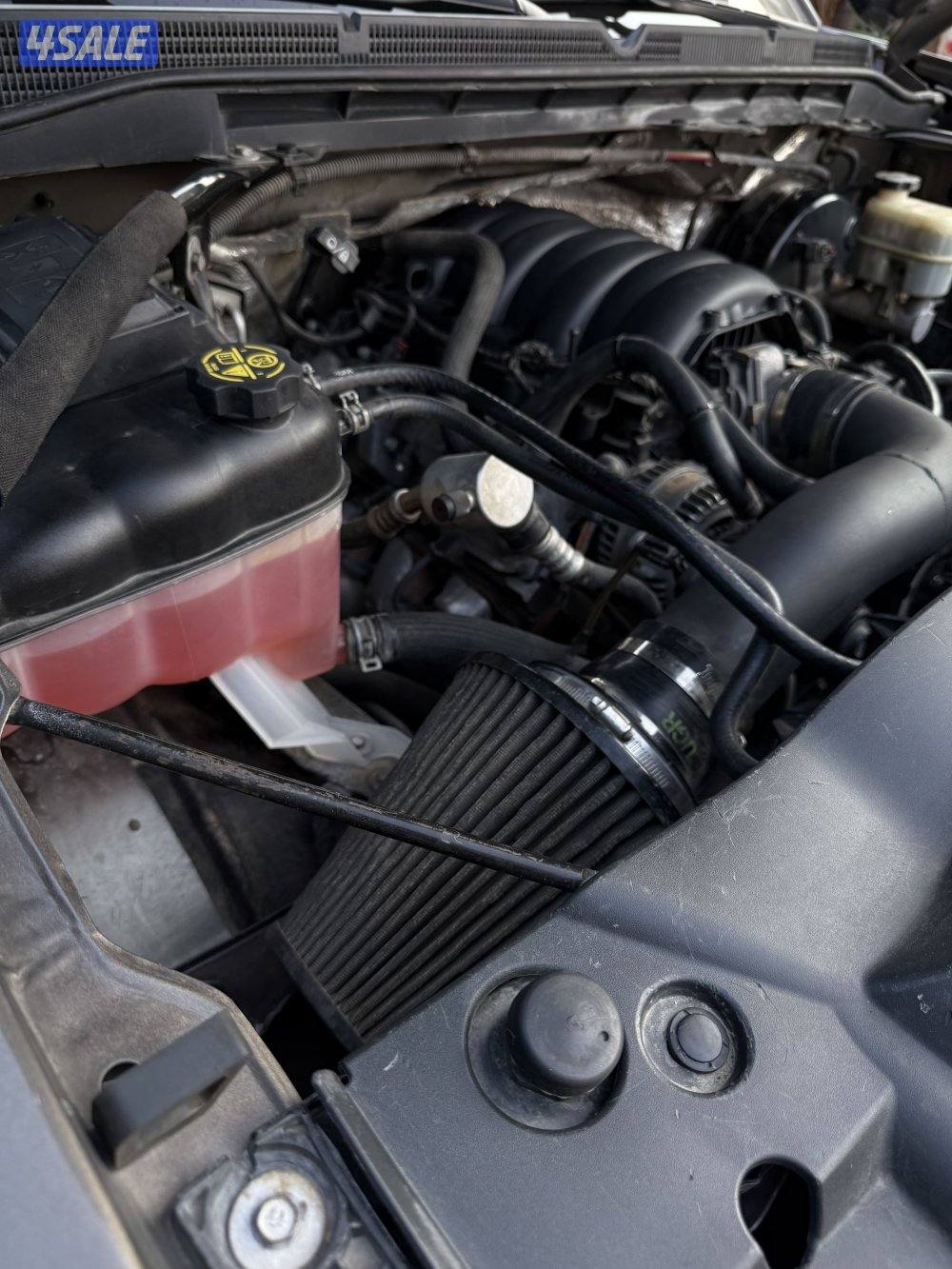 سيرا قاط عليه 12004