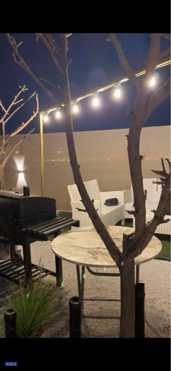 كشته راقيه7