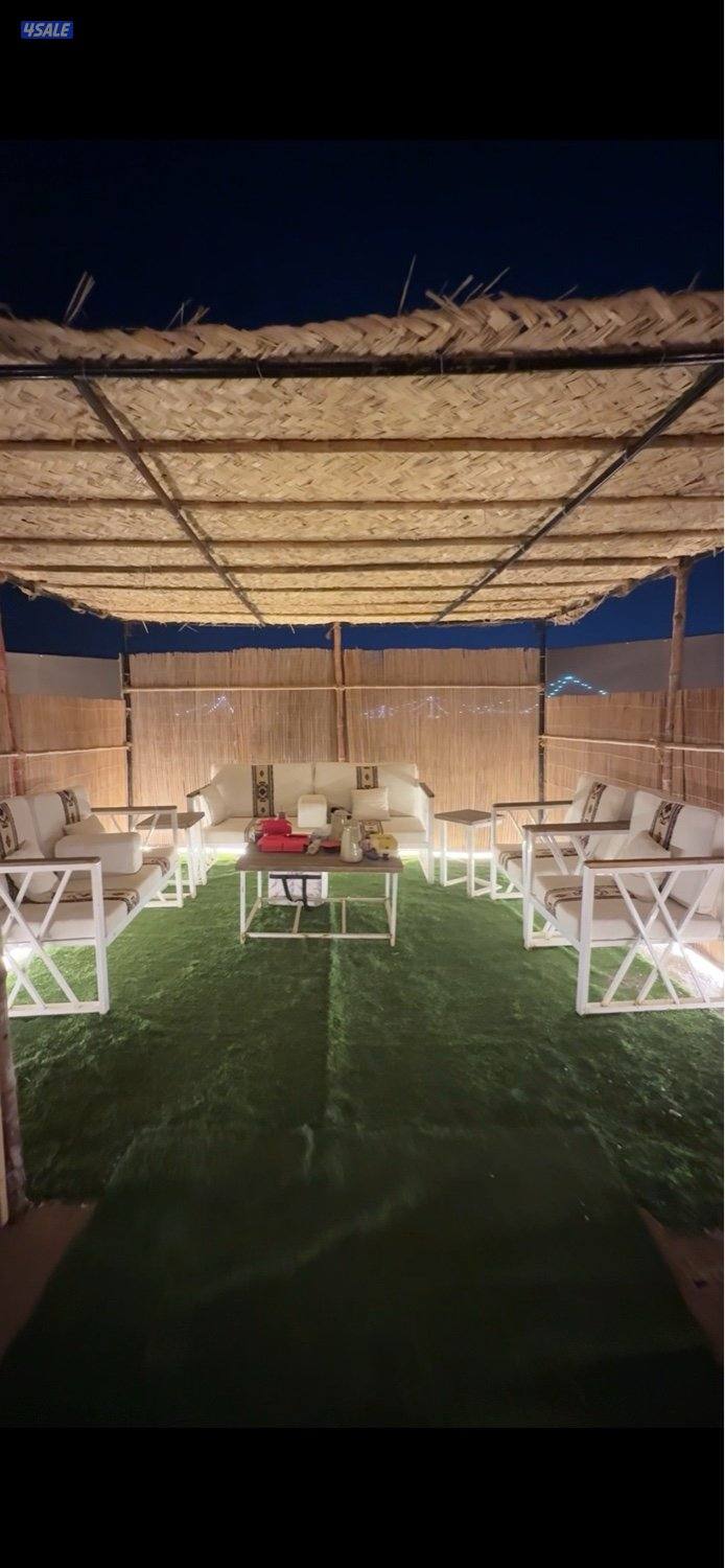 كشته راقيه8