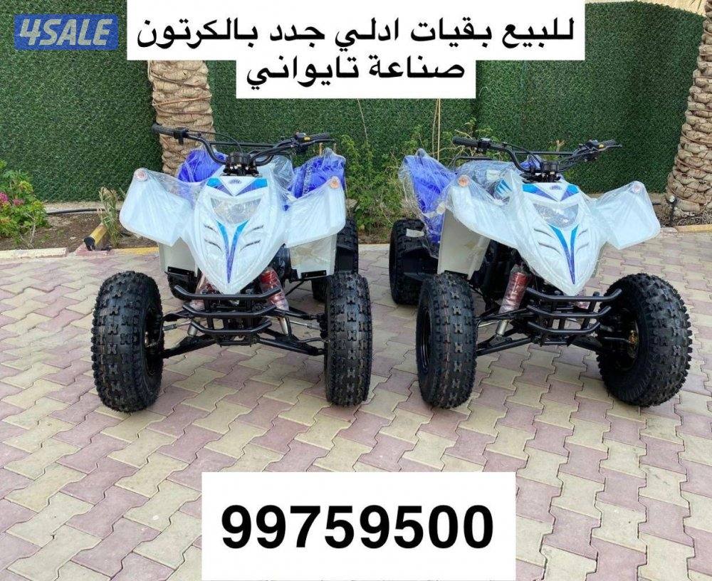 للبيع بقيات العميري جدد بالكرتون2