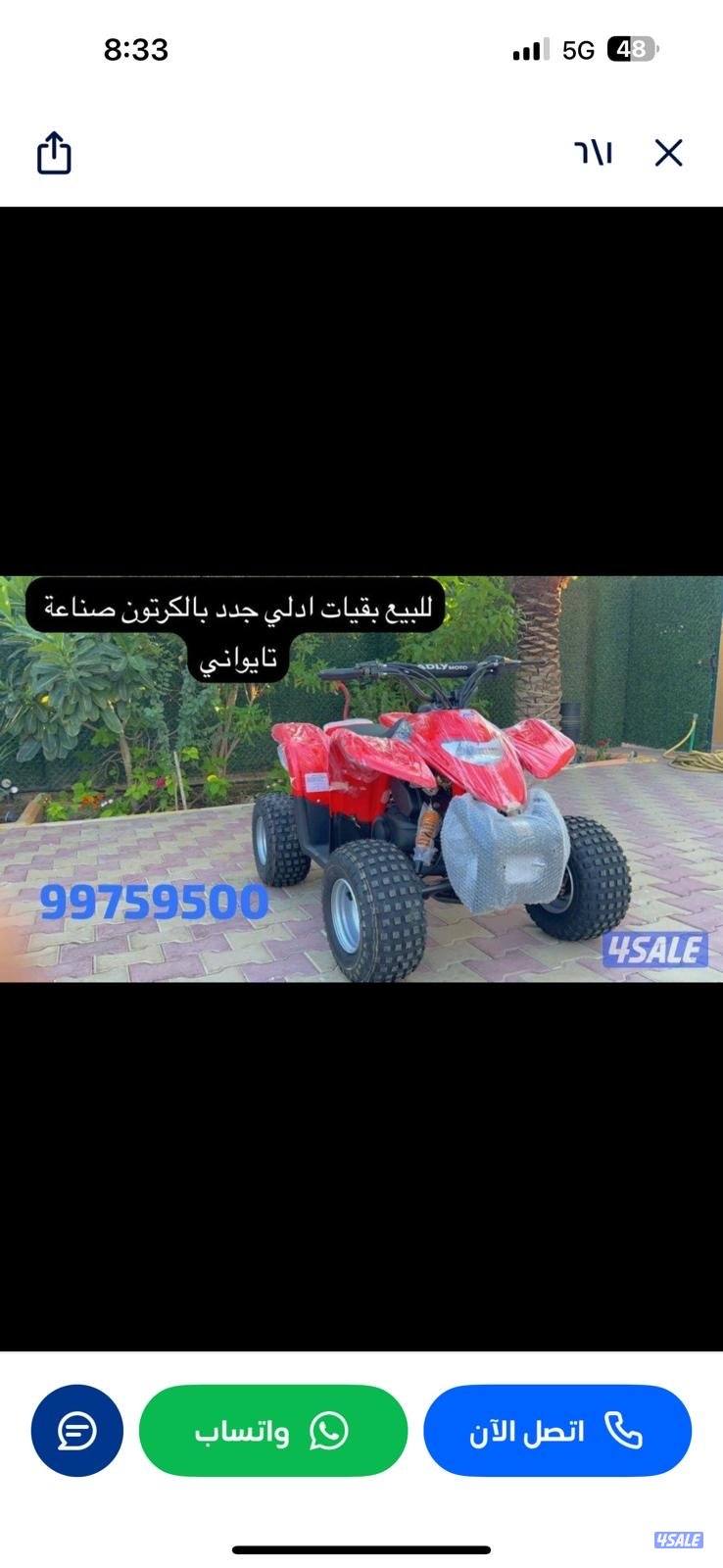 للبيع بقيات العميري جدد بالكرتون4