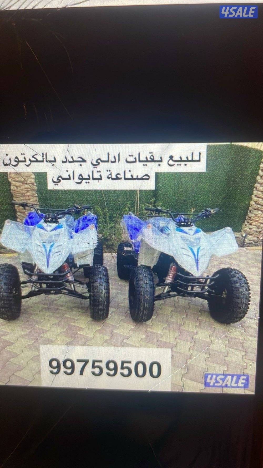 للبيع بقيات العميري جدد بالكرتون3