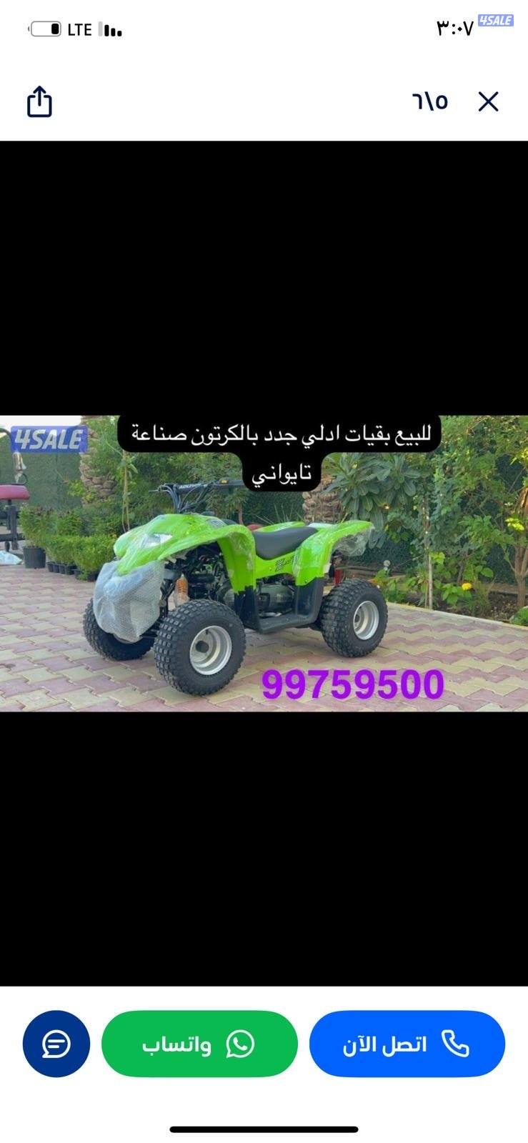 للبيع بقيات العميري جدد بالكرتون6