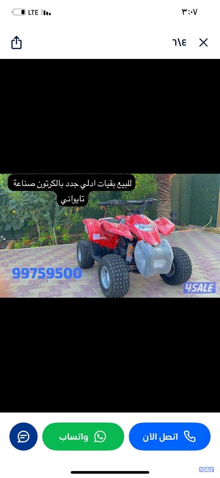 للبيع بقيات العميري جدد بالكرتون8