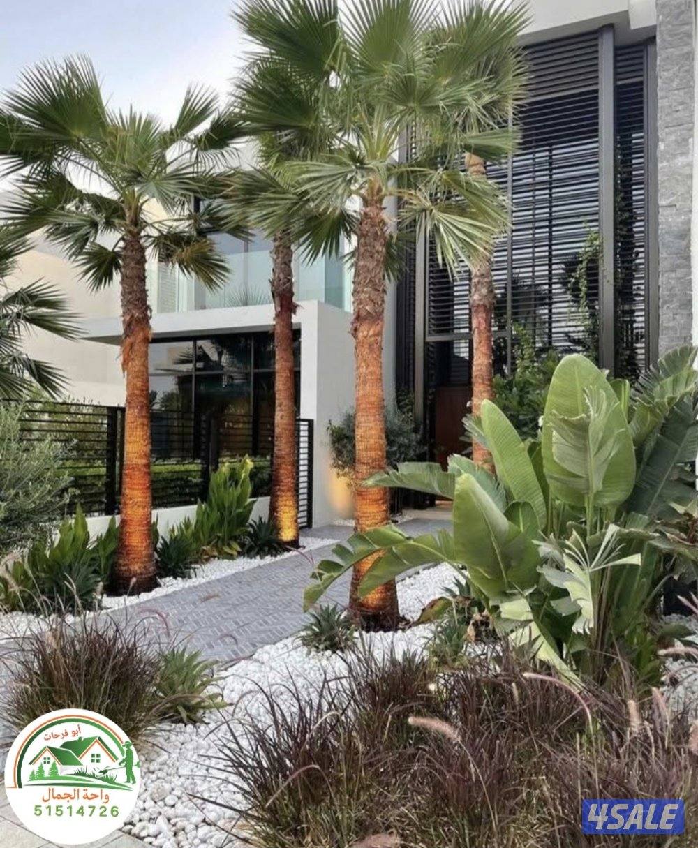 تنسيق حدائق زراعه ثيل طبيعي تركيب ثيل صناعي سياج تركي تمديد شبكه ري11