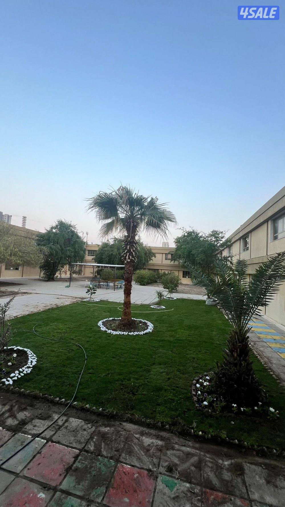 تنسيق حدائق بيع وتركيب ثيل صناعي وطبيعي وسور  بأفضل الأسعار8