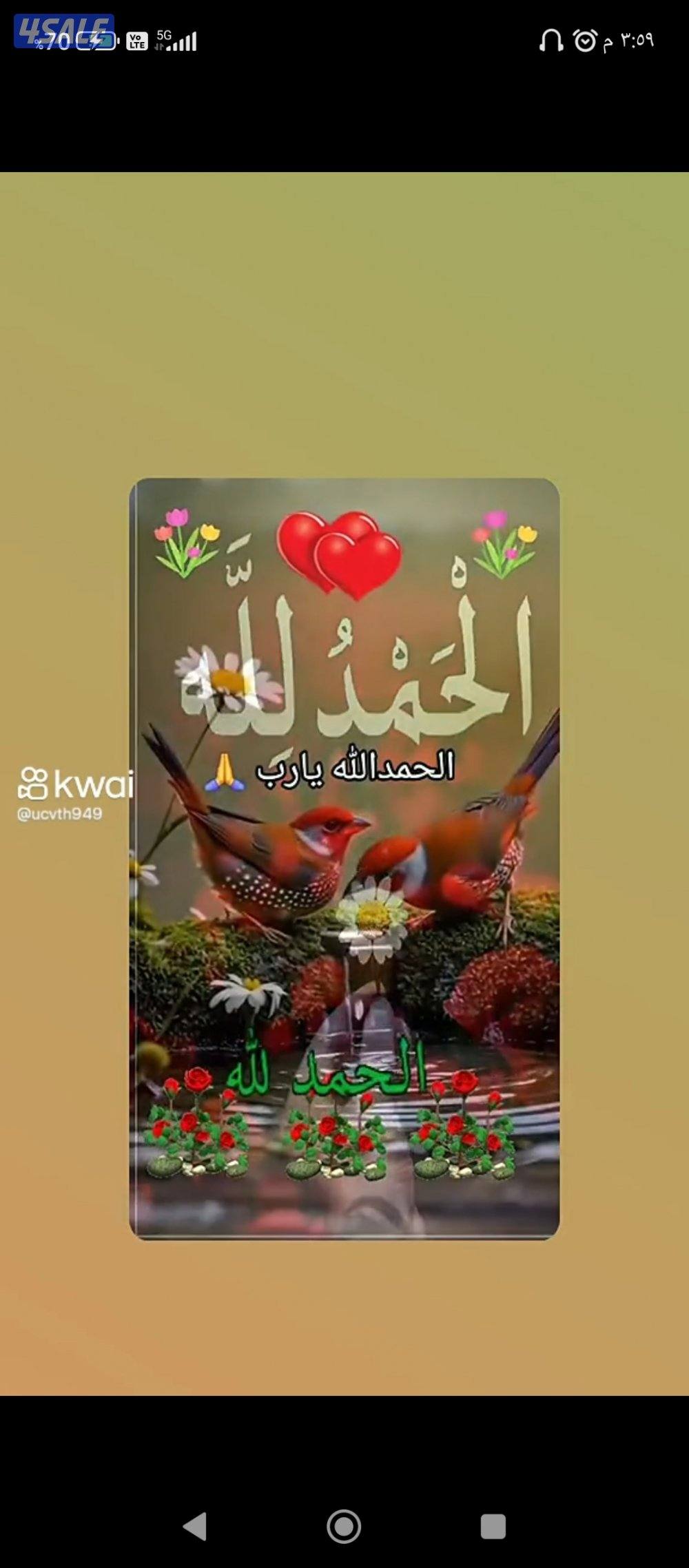 مصري لديه رخصه خاصه كويتيه النظام القديم0