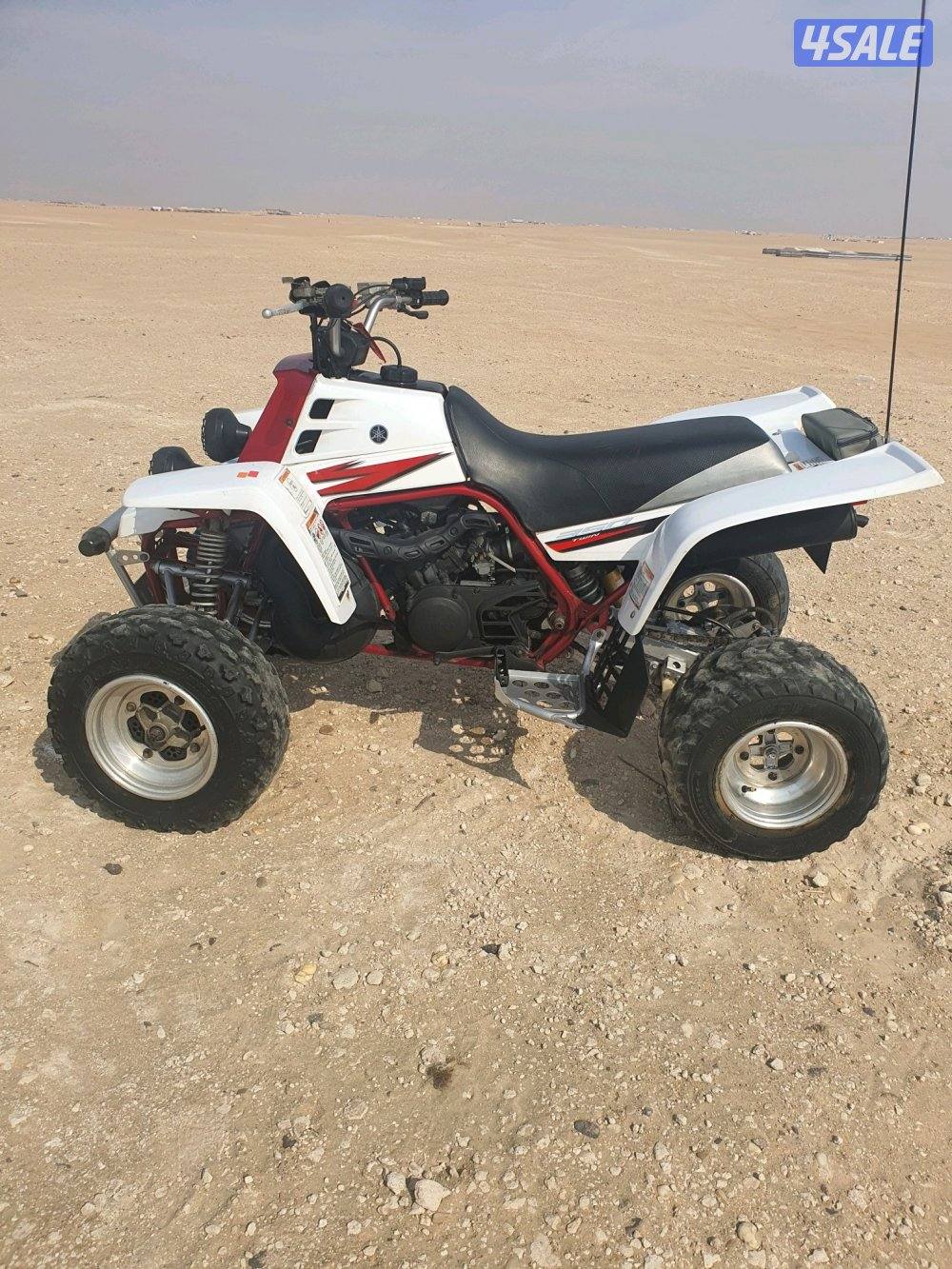 للبيع  بانشي ستوك وكاله2