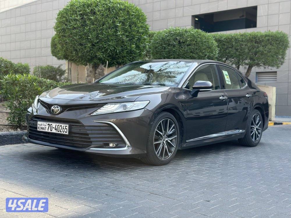 لمتد ادشن الفل 20230