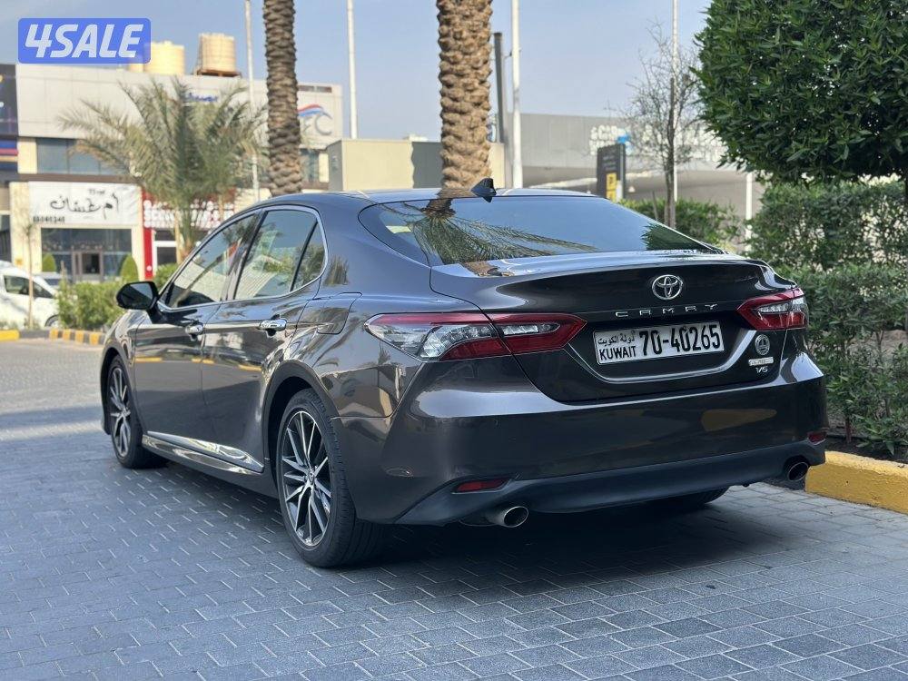 لمتد ادشن الفل 20231