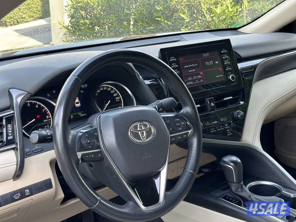 لمتد ادشن الفل 20232