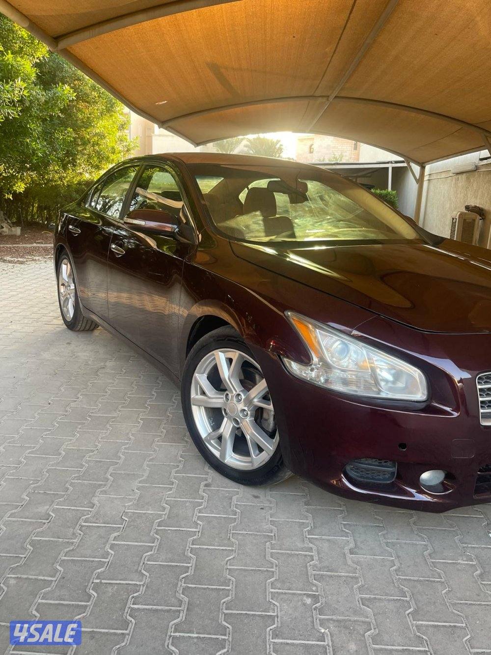 نيسان مكسيما 20146