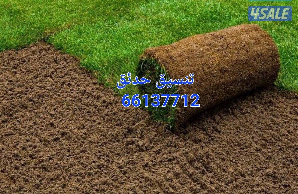 تنسيق حدائق زراع التيل الطبيعي وتركيب التيل الصناعي وقص الشجار الضخمه0