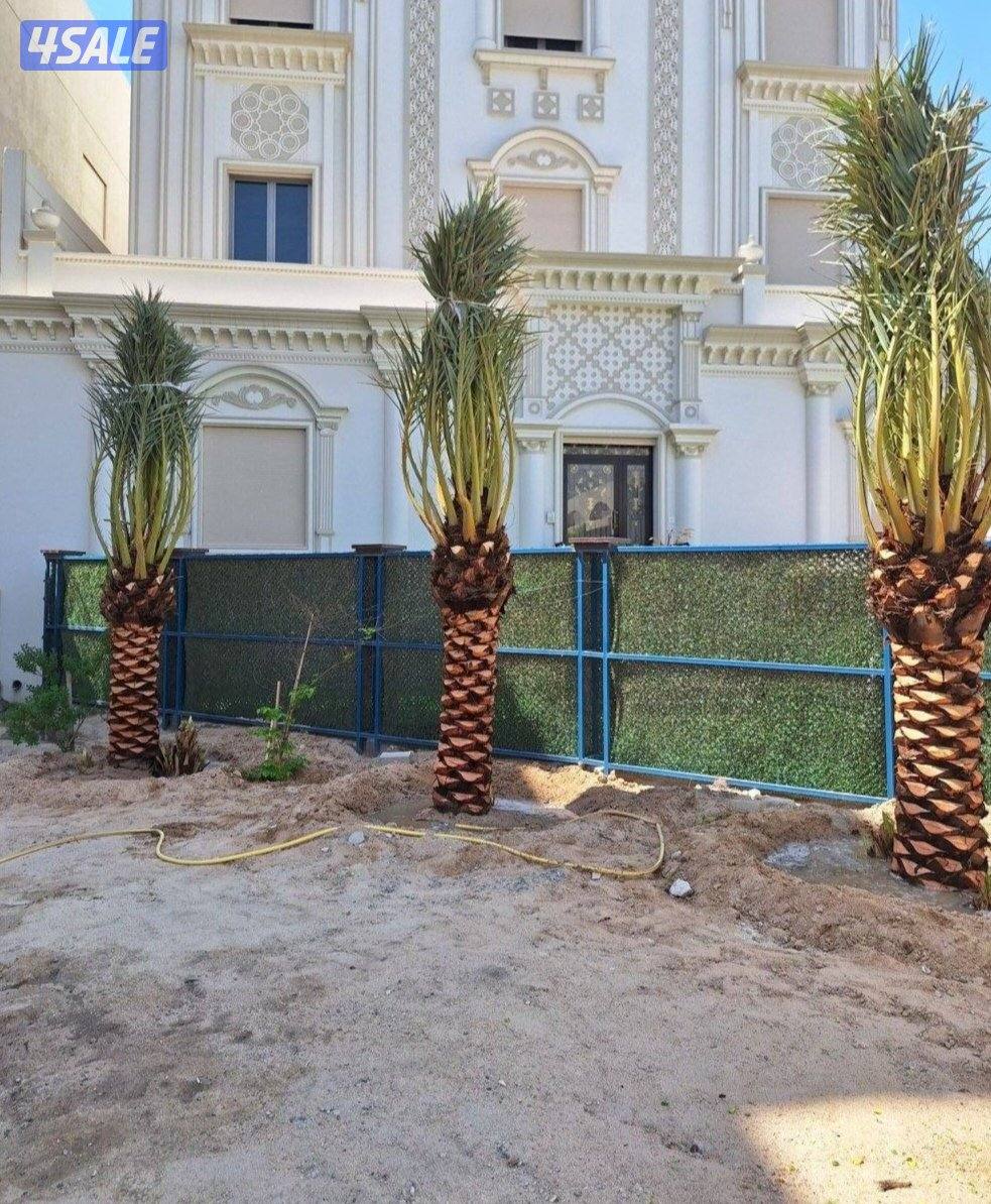 تنسيق حدائق زراع التيل الطبيعي وتركيب التيل الصناعي وقص الشجار الضخمه4