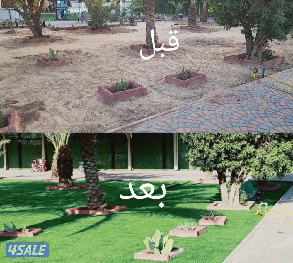 تنسيق حدائق زراع التيل الطبيعي وتركيب التيل الصناعي وقص الشجار الضخمه8