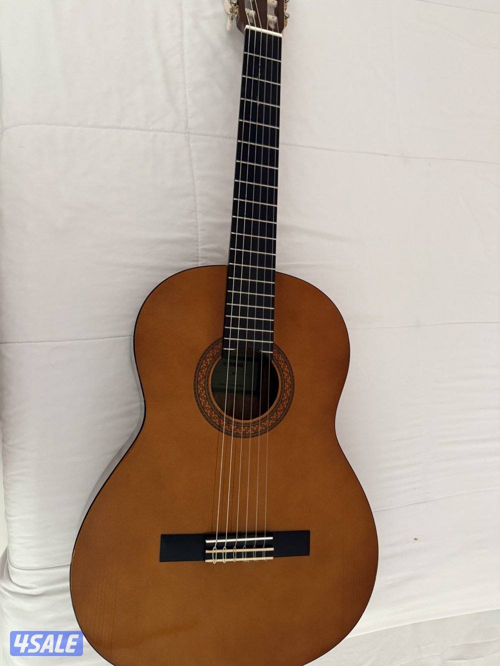guitar c400