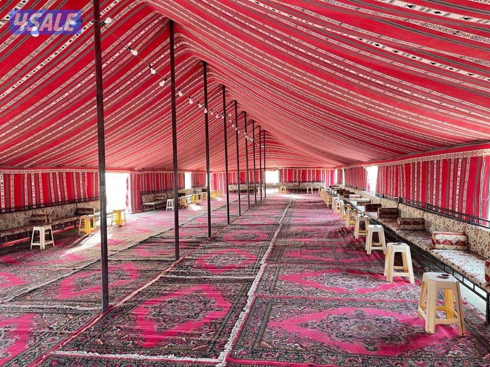 أفراح ليالينا11