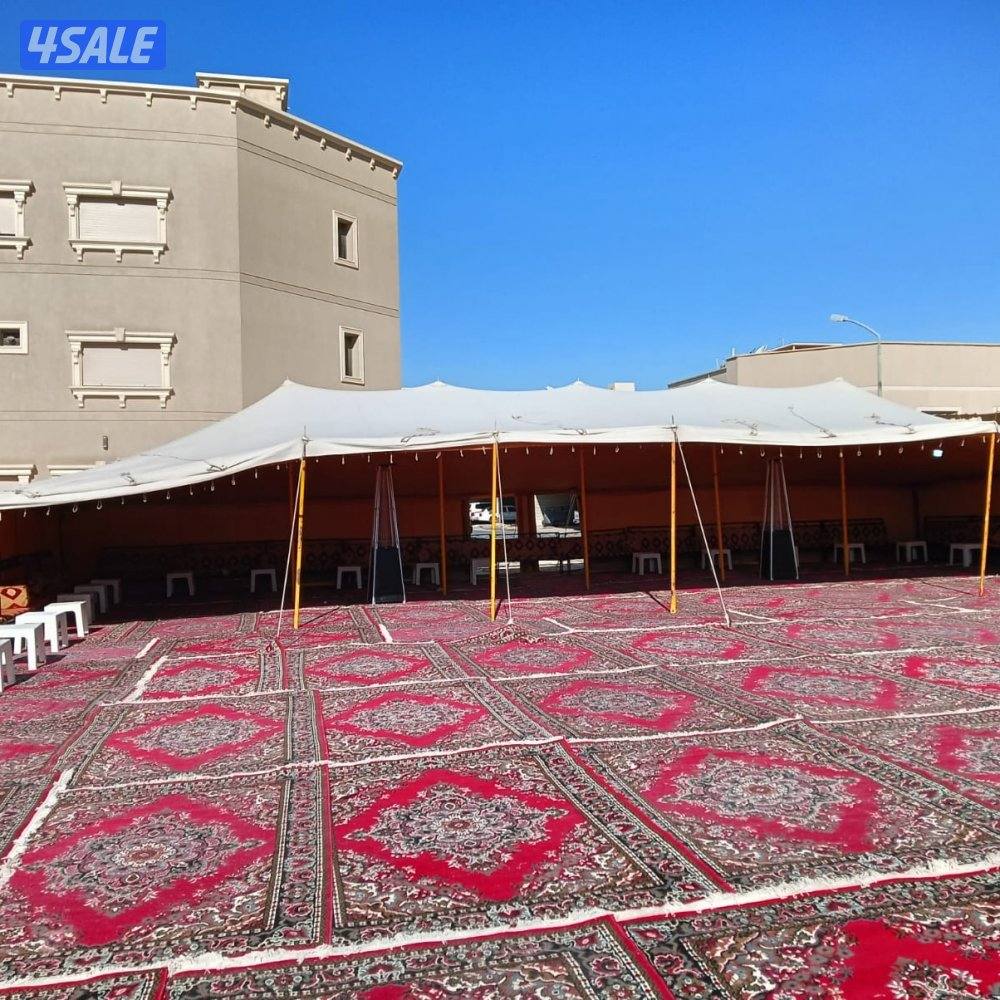 أفراح ليالينا14