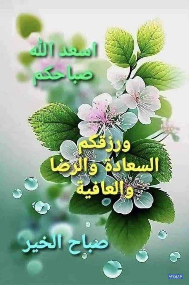 تدريس علوم للمرحله المتوسطة0