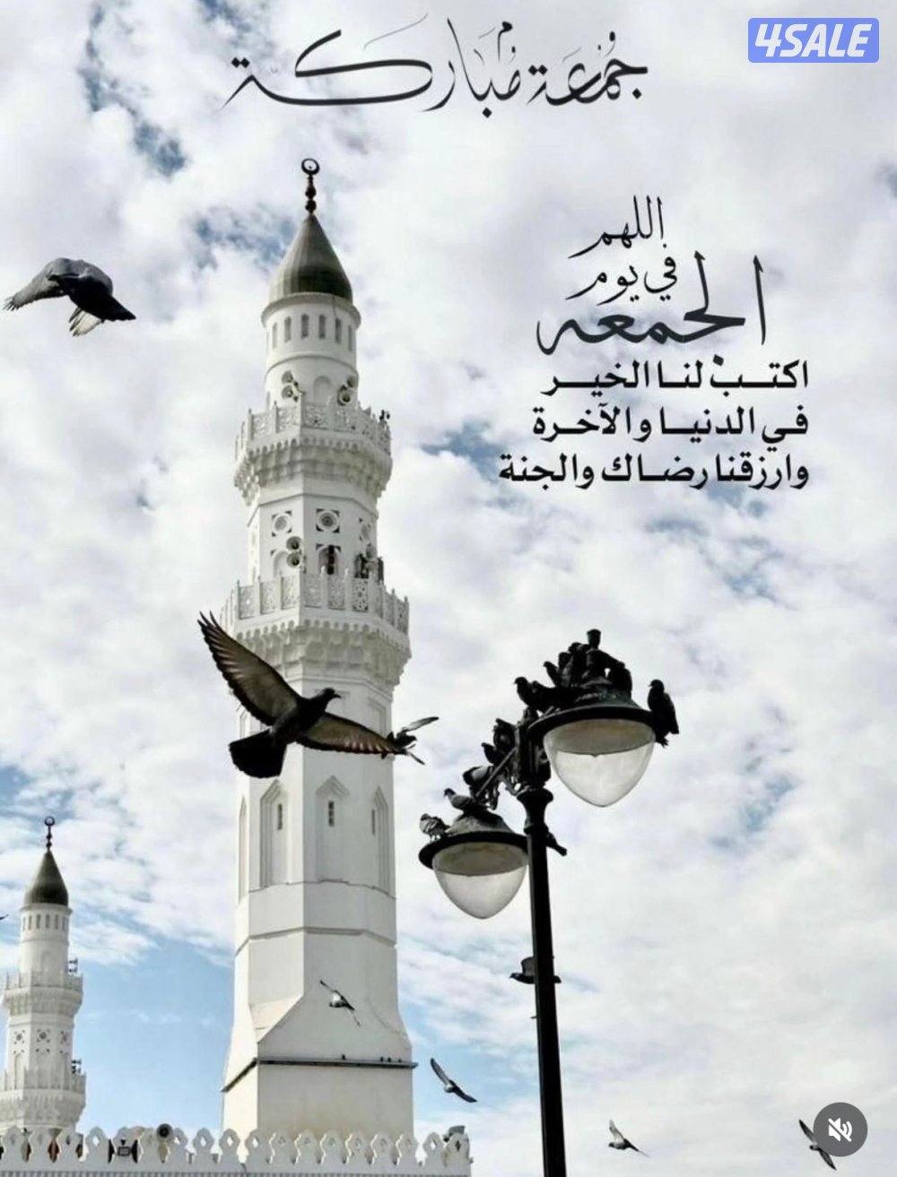 تدريس أحياء للثانوي0