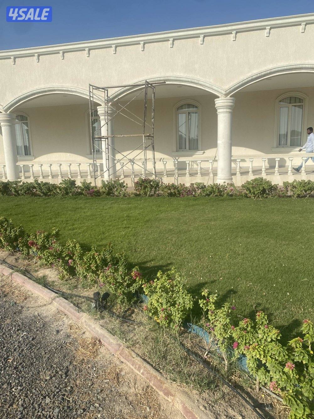 جروب محترف مصري. في أعمال الصبغ والمقاولات متواجدين في الوفره وخيران1