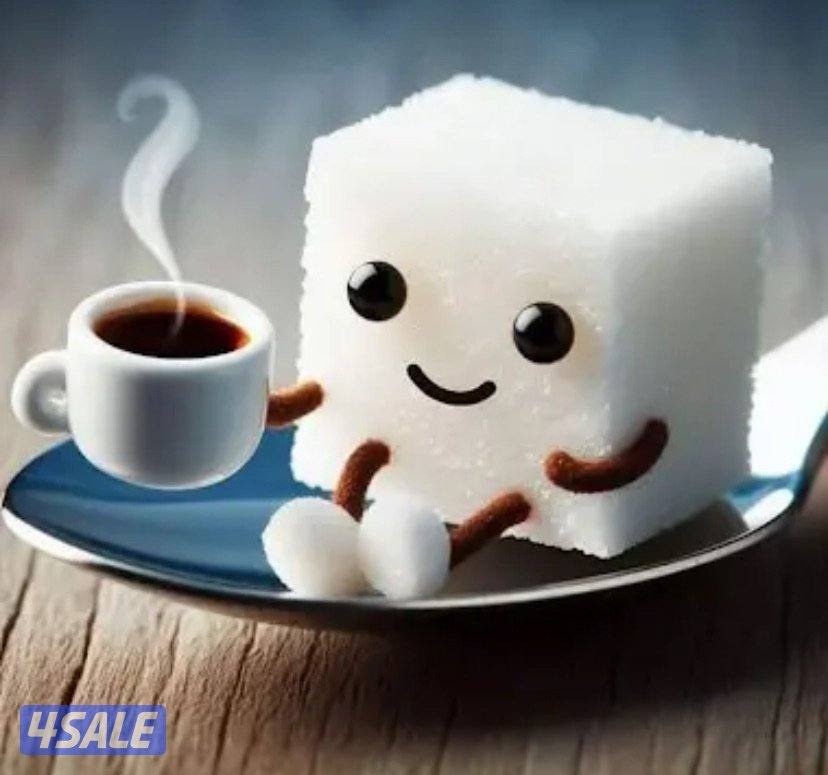 مدرس انجليزي العاشرة1